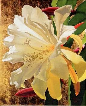 unknow artist Still life floral, all kinds of reality flowers oil painting  58 China oil painting art